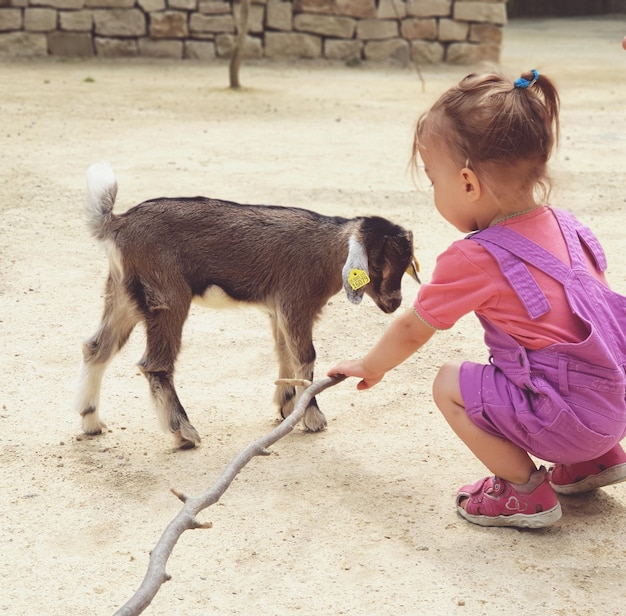 Foto menina a brincar com uma cabra ao ar livre