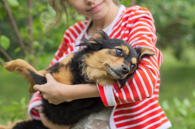 Menina abraçando cachorro ao ar livre, amizade e amor entre o pequeno proprietário e o animal de estimação