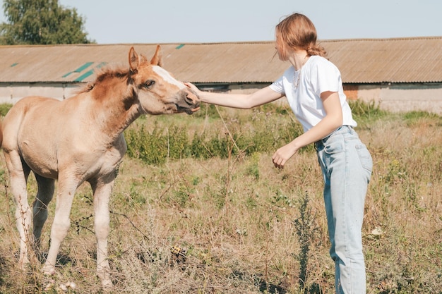 Menina acariciando um potro no prado Confiança e ternura da menina para o cavalo