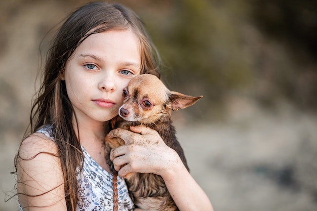 Menina adolescente bonitinha abraça o cachorro dela. Retrato de uma criança com um Chihuahua. Uma garota com cabelo comprido mostra amor e ternura por um animal de estimação. Um cão puro-sangue nas mãos de seu dono.