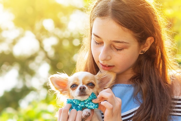 Menina adolescente com um cão chihuahua branco de cabelos compridos menina e animal de estimação