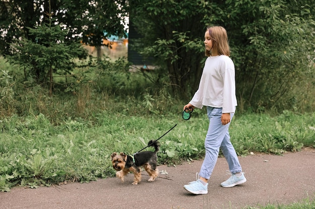 Menina adolescente em um passeio no parque de verão com seu animal de estimação Yorkshire terrier. Criança passeando com um cachorro