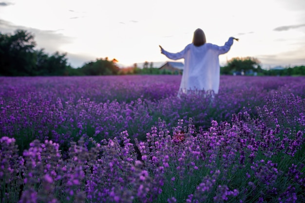 Menina adolescente sonhadora dança entre flores roxas em belas férias de verão por do sol