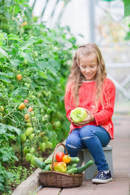 Menina adorável que colhe pepinos e tomates na estufa. Retrato de criança com tomate vermelho nas mãos.