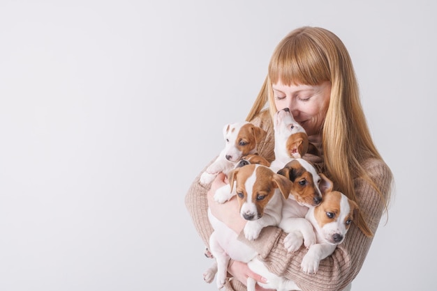 Foto menina alimentando cachorros jack russell terrier cuidados com os animais