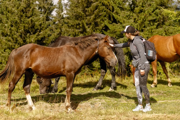 Menina alimentando um feno de cavalo no verão. garota alimentando cavalos na floresta