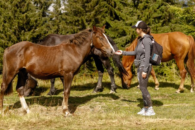 Menina alimentando um feno de cavalo no verão. garota alimentando cavalos na floresta