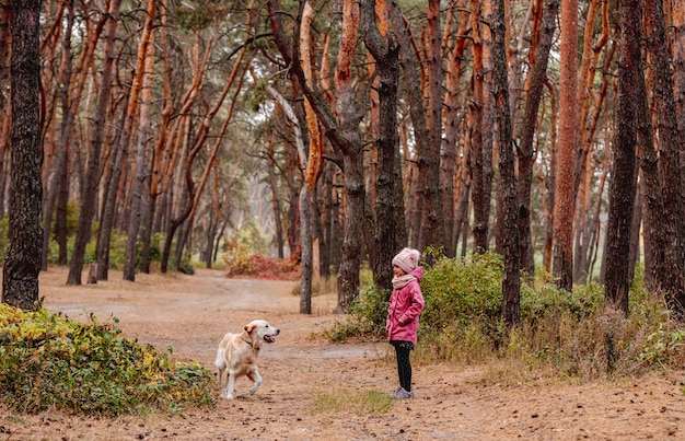 Menina andando com cachorro golden retriever em pinhal