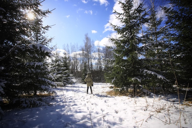 Menina andando na floresta de inverno coberta de neve com grandes abetos. Criança explorando a natureza selvagem.