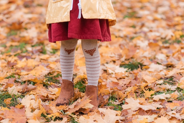 Foto menina andando no parque com jardim de folhas de outono