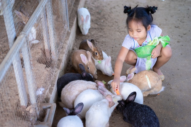 Menina asiática bonitinha alimentando coelho na fazenda