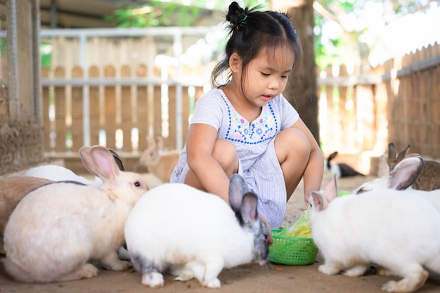 Menina asiática bonitinha alimentando coelho na fazenda