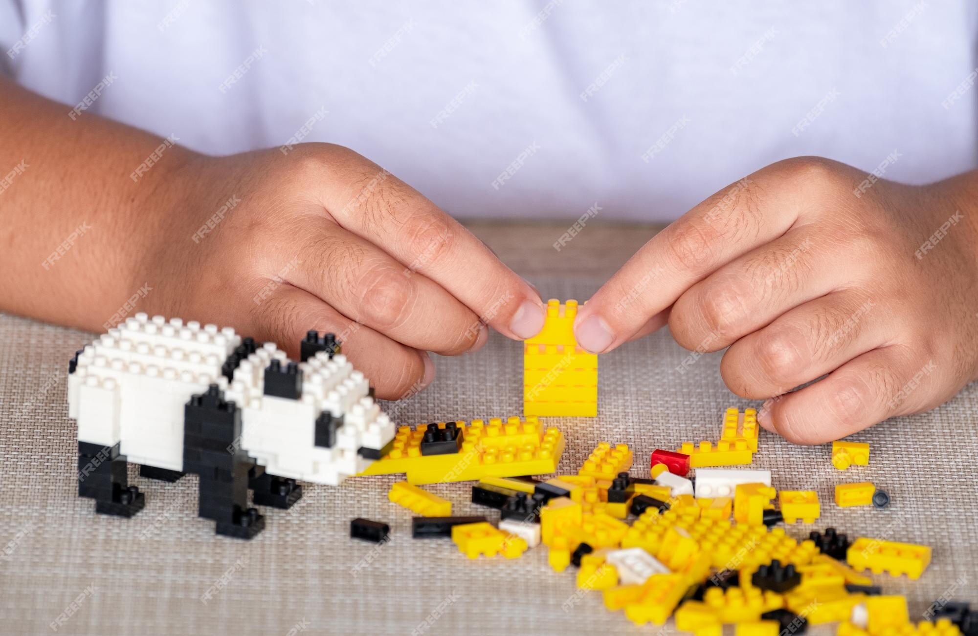 Lego lança brinquedo para meninas