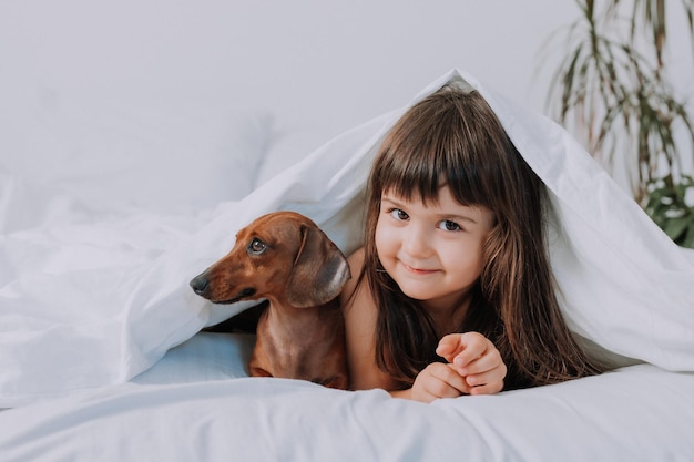 Menina bebê abraça cachorro bassê em casa na cama. roupa de cama branca. amor por animais de estimação