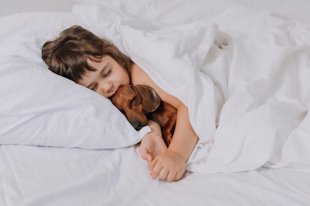 menina bebê abraça cachorro bassê em casa na cama. roupa de cama branca. amor por animais de estimação