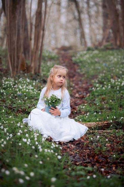 Menina bonita em uma clareira de gotas de neve uma criança caminha na floresta de primavera