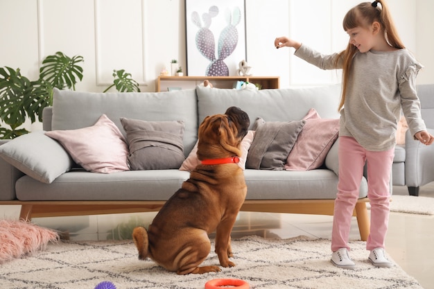Foto menina bonitinha brincando com cachorro engraçado em casa