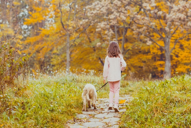Menina bonitinha e cachorro retriever dourado em uma coleira andando no parque outono. Vista de trás