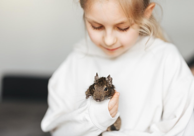 Menina brincando com pequeno animal esquilo degu