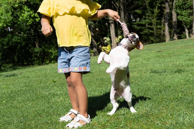 Menina brincando com seu cachorro de estimação Jack Russell Terrier no parque