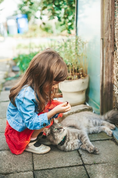 Menina brincando com um gato cinza lá fora