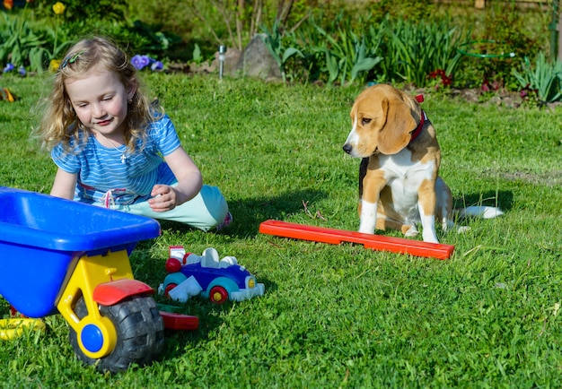 Menina brincar com o cachorro no jardim. Ela brinca com carro e carrinho de mão de crianças.