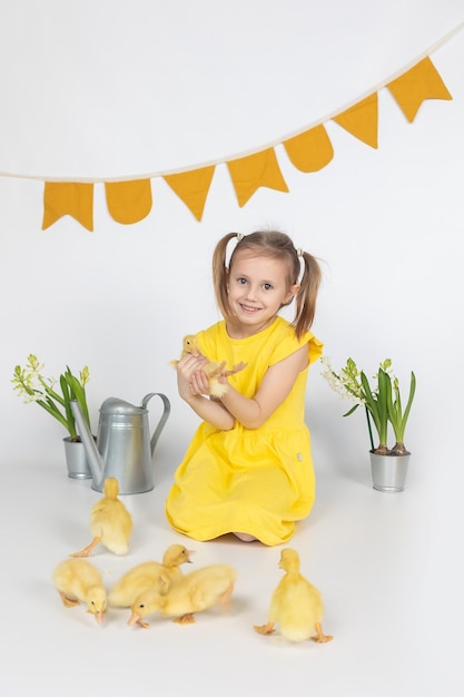 Menina caucasiana segurando um patinho amarelo nas mãos no fundo branco