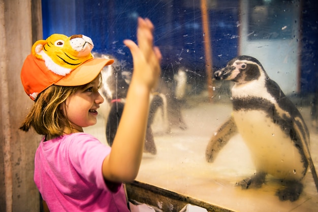Menina caucasiano nova que olha o aqauarium do pinguim no jardim zoológico