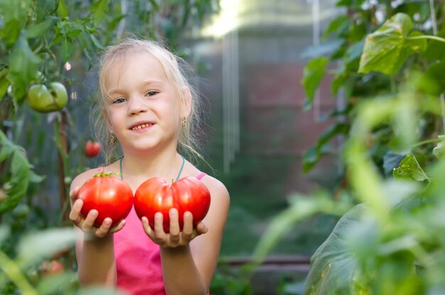 Menina colhendo tomate em uma estufa