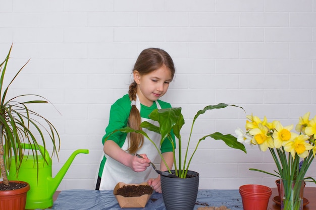 Menina com avental transplante de flores borrifando o chão com uma espátula contra o fundo de uma parede de tijolos brancos