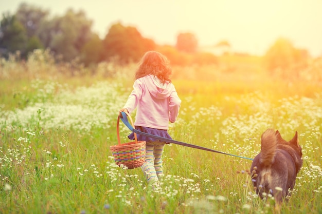 Menina com cachorro andando no campo de volta para a câmera menina carregando uma cesta de piquenique