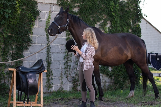 Homem E Cavalo Pulando Uma Cerca Foto de Stock - Imagem de sela, animal: 247580984