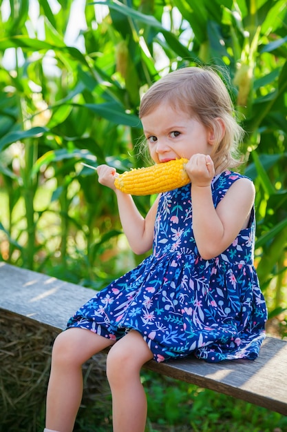 Menina com fome comendo uma espiga de milho