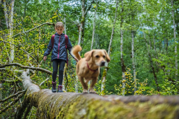 Menina com um cachorro, caminhadas na floresta