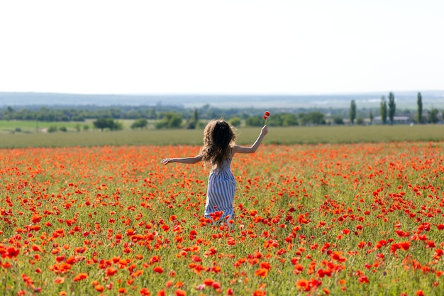 Menina com uma flor vermelha na mão, corre feliz pelo campo com papoulas selvagens vermelhas