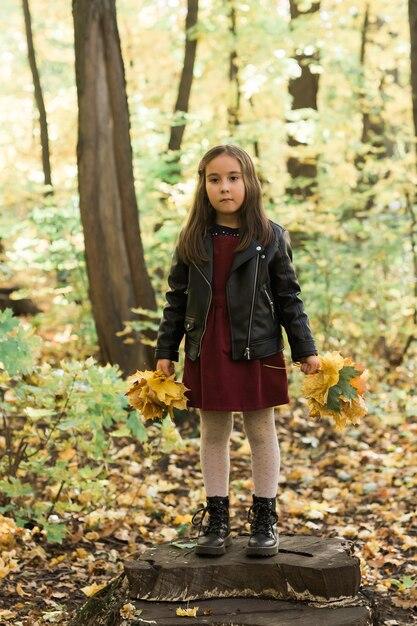 Menina criança asiática brincando no outono em uma caminhada pela natureza ao ar livre