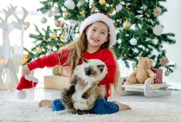 Menina criança com gato ragdoll sentado no chão com chapéu de Papai Noel na época do Natal e sorrindo. Uma criança bonita segurando um gatinho felino perto de uma árvore de Natal festiva no quarto decorado de feriados de ano novo