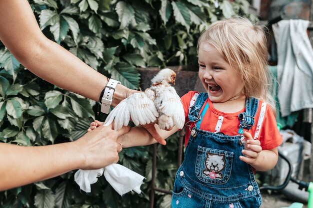 Menina criança está segurando o frango na fazenda. Retrato de menina com frango