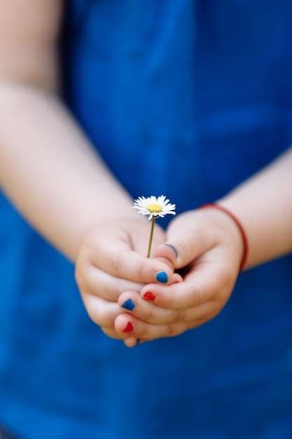 Menina de blusa azul está segurando uma flor de camomila nas mãos com manicure em um jardim primavera.