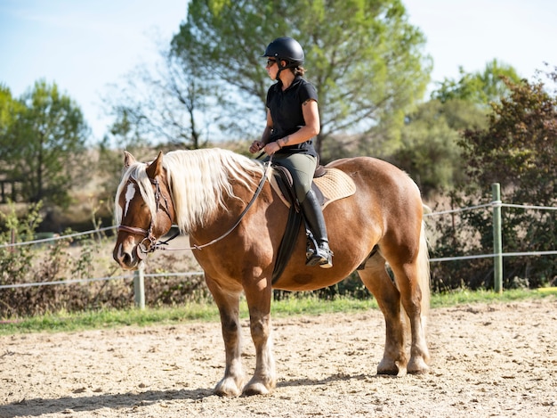 Jovem de camisa descansando em cavalo marrom depois de cavalgar