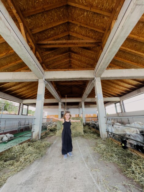 Menina de pé com os braços estendidos em uma grande fazenda entre paddocks com ovelhas