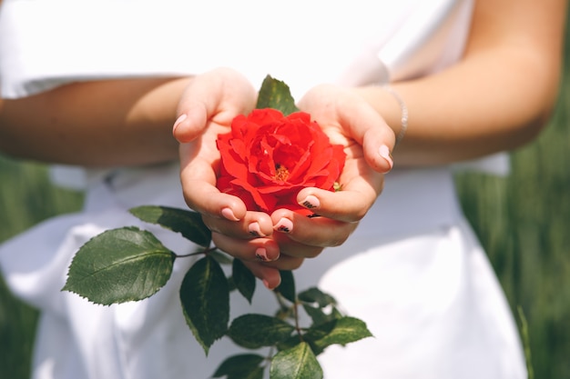 Menina de vestido branco com a rosa vermelha nas mãos