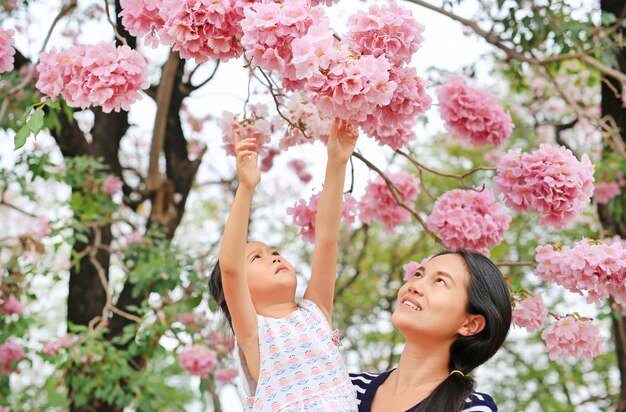 Menina do retrato e sua mamã que tocam no rosea bonito de tabebuia que floresce na estação de mola no jardim exterior.