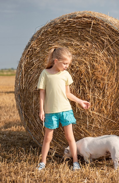 Menina e cachorro se divertindo em um campo de trigo em um dia de verão. Criança brincando no campo de fardo de feno durante a época da colheita.