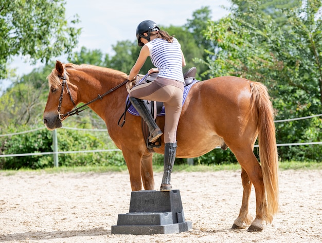 Foto menina e cavalo