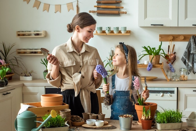 Menina e mulher transplantam flores e plantas de interior plantam bulbos jacintos microverdes juntos