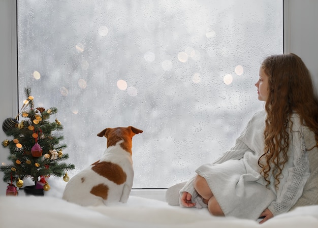 Menina e seu filhote jack russell sentado perto da janela