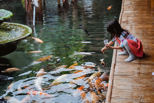 Menina e sua amiga alimentam peixes