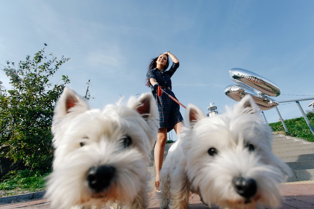 Menina elegante vestido andando com dois cães