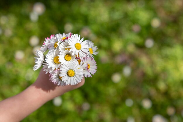 Menina entregando flores para sua mãexa